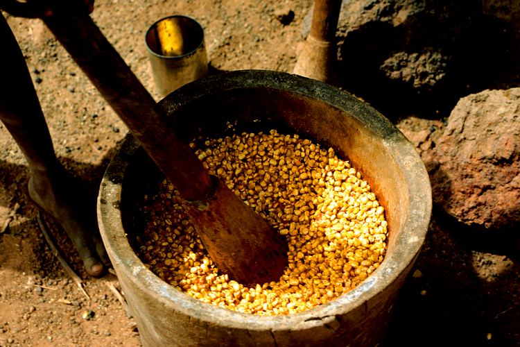 Bilder zum Rohstoff Mais 