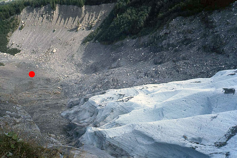 Glacier des Bossons and Glacier de Taconnaz