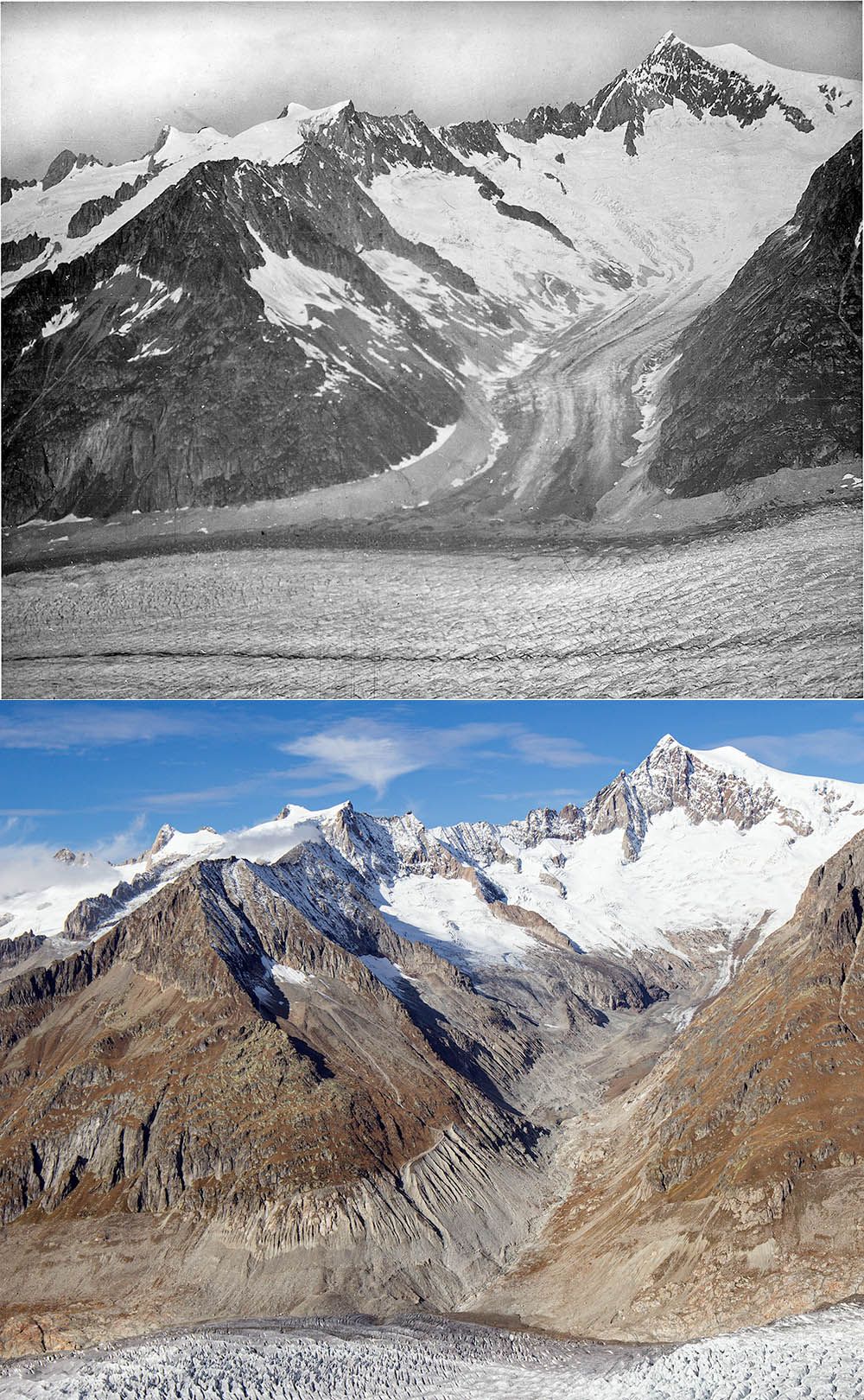 Wiederholungsaufnahmen Grosser Aletschgletscher 1880 bis 2015 vom Eggishorn
