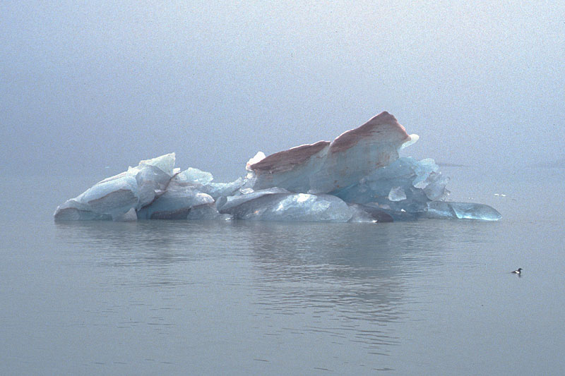 Eisberge und Meereis