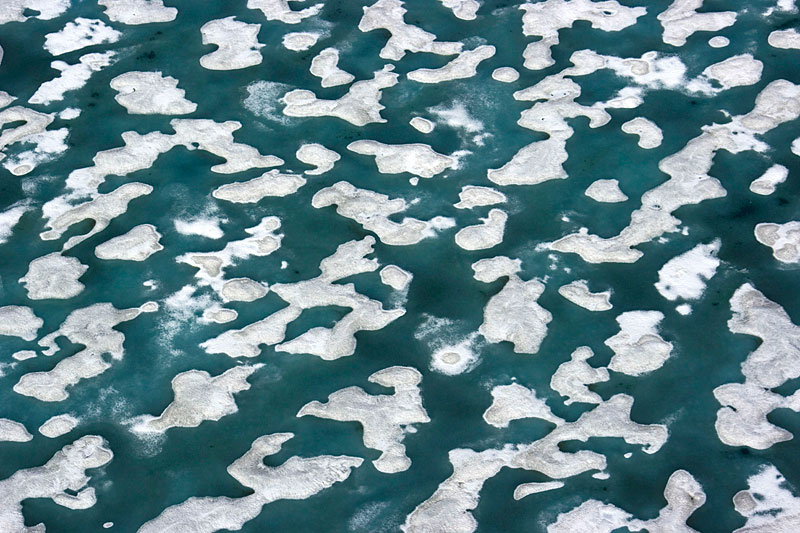 Sea Ice and Icebergs