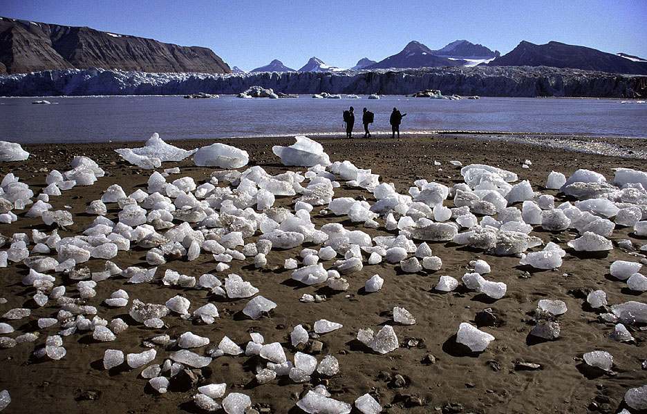 Verschiedene Arten von Gletschern