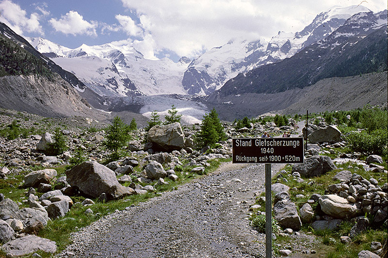 Sukzession der Vegetation im Gletschervorfeld