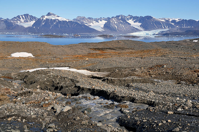 Austre Lovnbreen: the glacier forefield