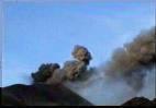 Lateral Eruption 2002/03: Damage of the lava flow fed by the South Vent - Video page