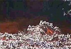 Videoclips der Lavastrme unterhalb des Sdostkraters: 4.-9. April 1999