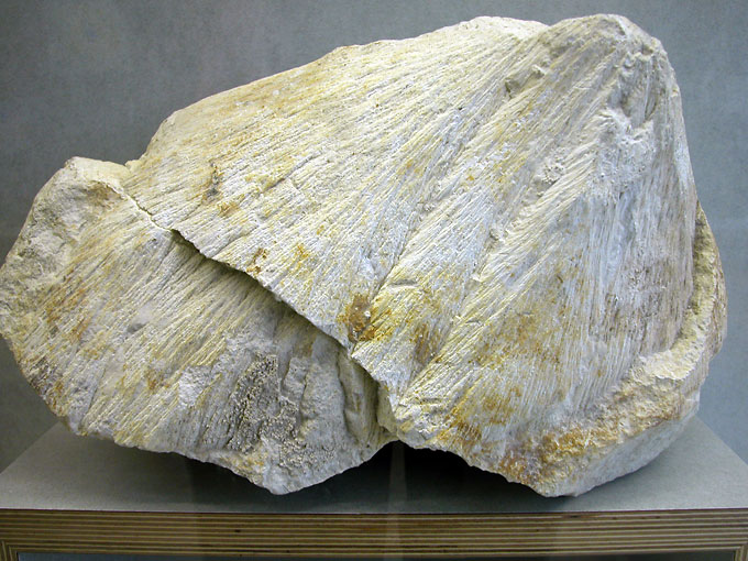 Rocks generated or altered by the asteroid impact