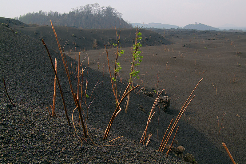 22.-25. Januar 2012: Die Landschaft um den Kimanura