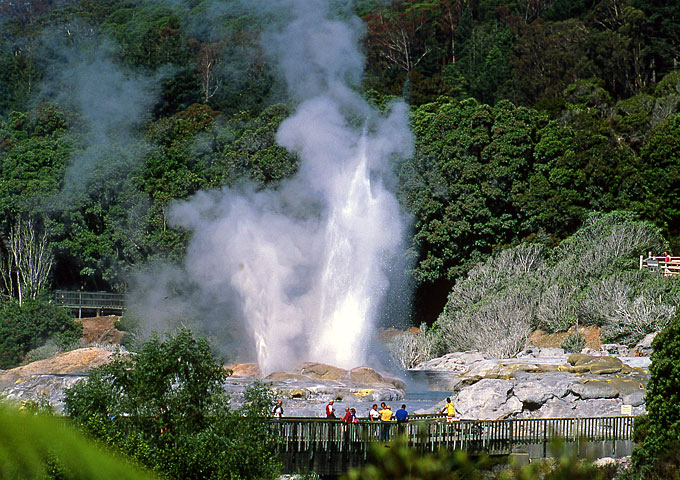 Geyser nell'area di Rotorua