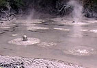 Filmati dalle pozze di fango calde presso Rotorua