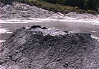 Filmati dalle pozze di fango calde presso Rotorua
