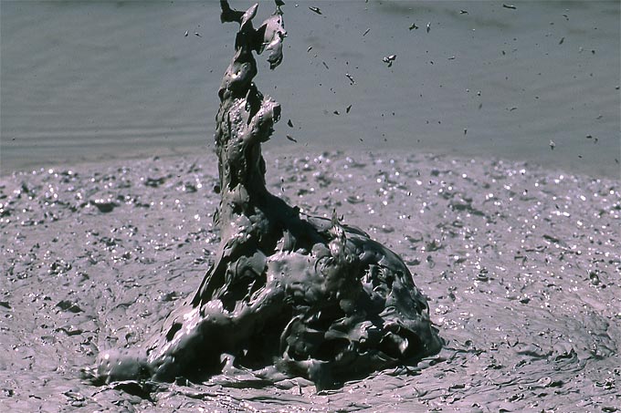 Foto dalle pozze di fango calde presso Rotorua