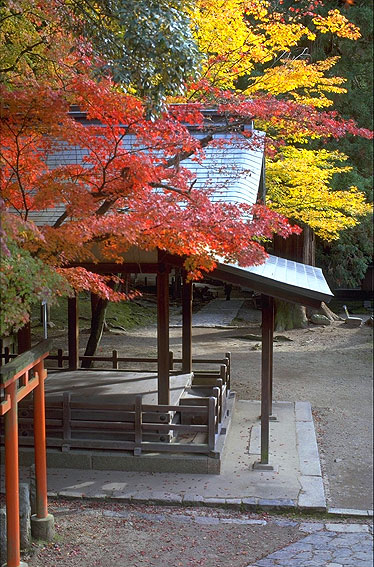 Sakurajima - Farben