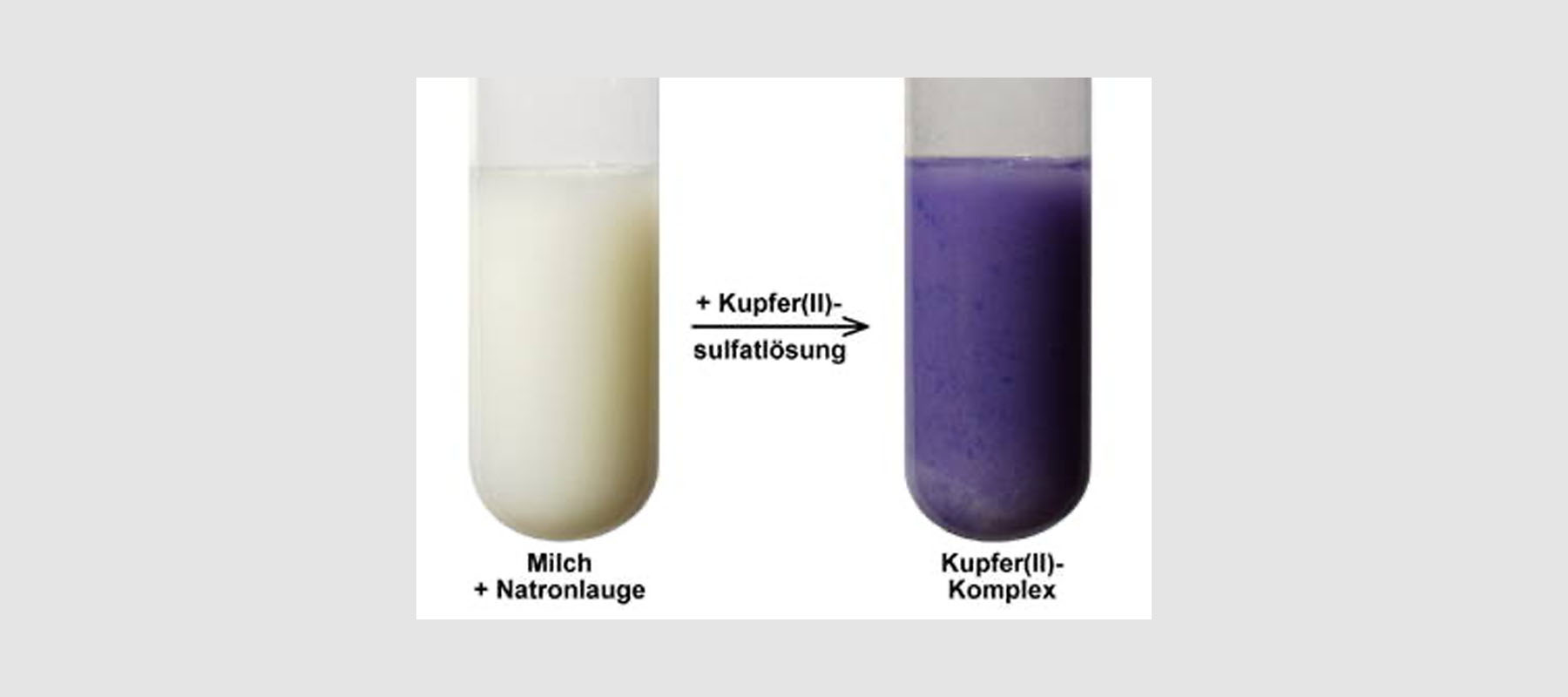 Praktikum Aminosäuren 