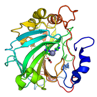 Carboanhydrase
