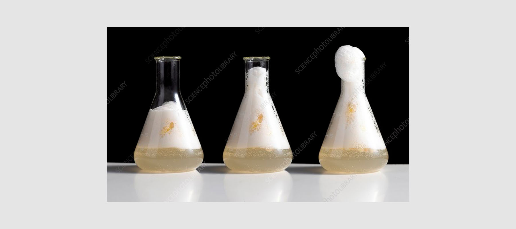 Enzymkinetik mit Katalase