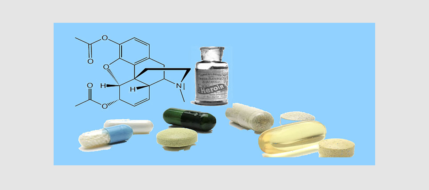 Medizinische Chemie und Biochemie