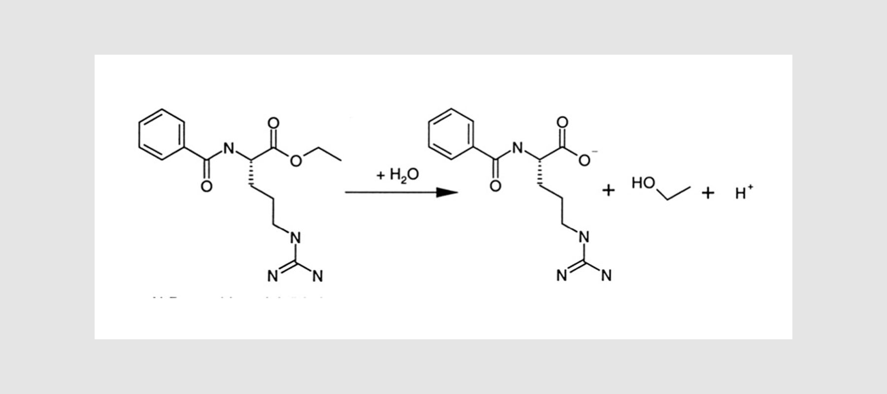 Trypsin und Chymotrypsin