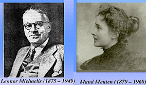 <p></p><p>Die Kinetik von Enzymen wird unter anderem durch die Michaelis-Menten Konstante charakterisiert.</p> <p></p><p>Die Kinetik von Enzymen wird unter anderem durch die Michaelis-Menten Konstante charakterisiert.</p>