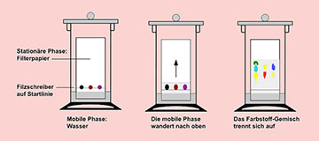 Eyecatcher_ksbs_glf_prakt_duennschichtchromatografie