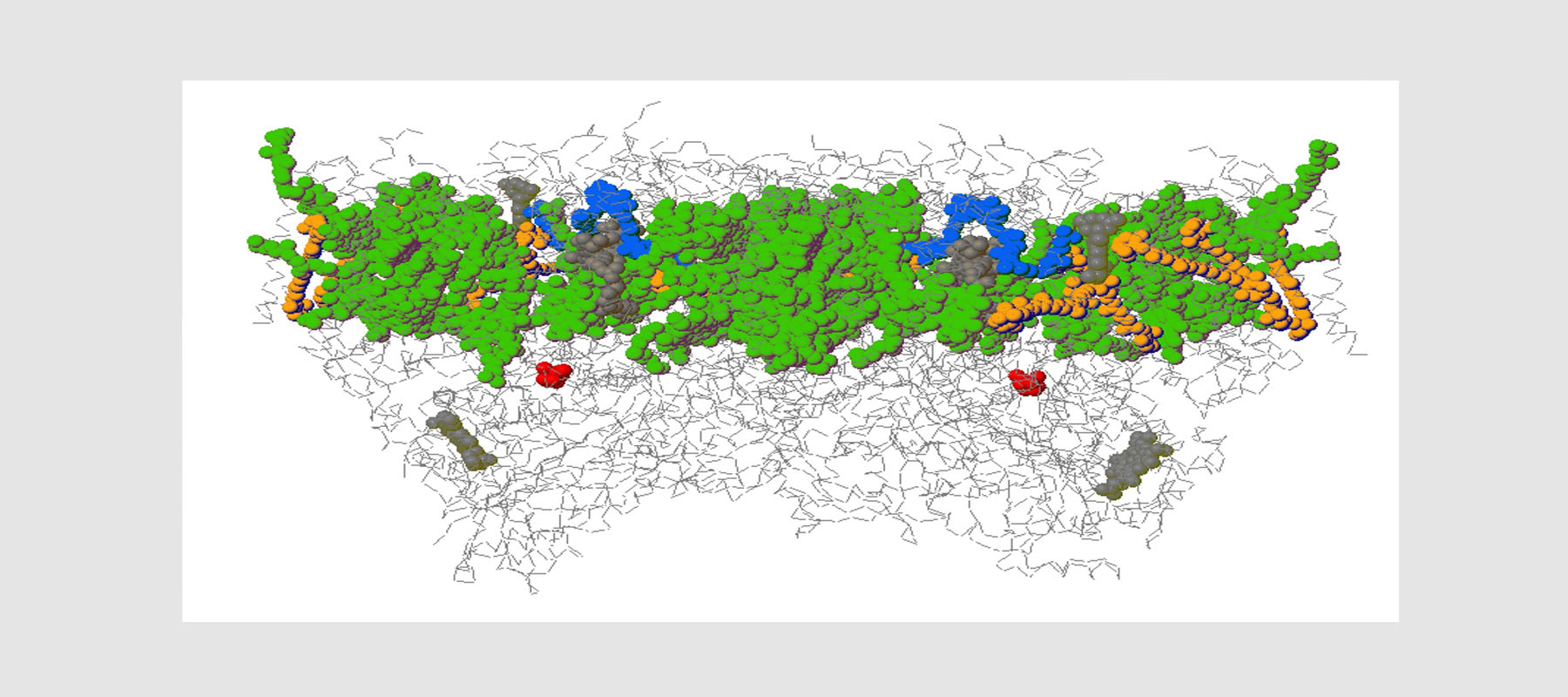 Lichtreaktion der Photosynthese