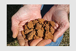 Eyecatcher_bodenchemie_download