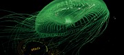 Ec_08 Ec_08