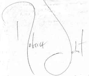 signature