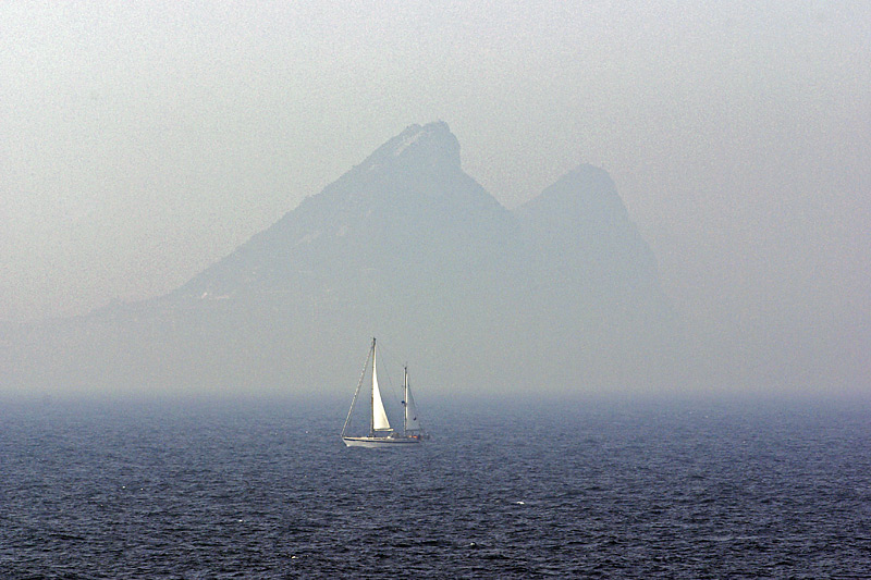 Delphine, Wale und Gibraltar Delphine, Wale und Gibraltar