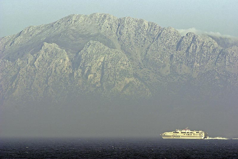 Delphine, Wale und Gibraltar Delphine, Wale und Gibraltar