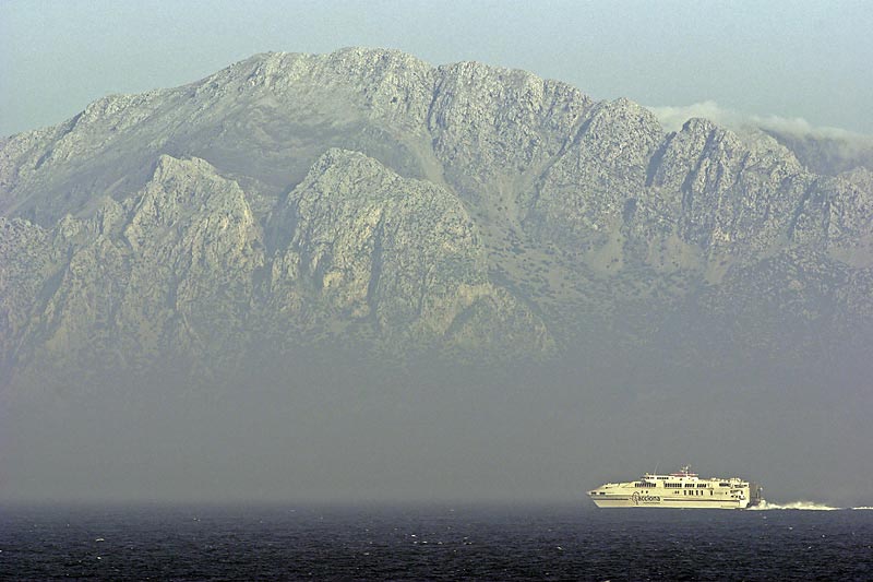 Delphine, Wale und Gibraltar