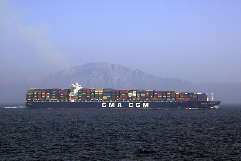 Delphine, Wale und Gibraltar Delphine, Wale und Gibraltar