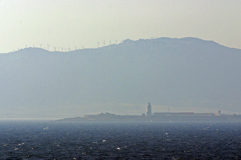 Delphine, Wale und Gibraltar