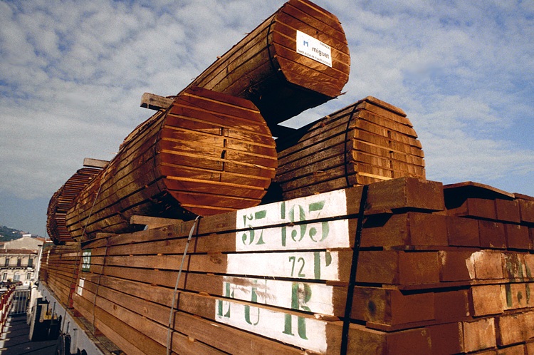Bilder zum Rohstoff Tropenholz