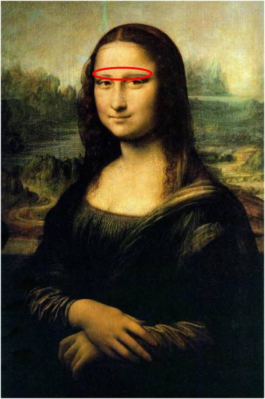 Mona Lisa Fehler
