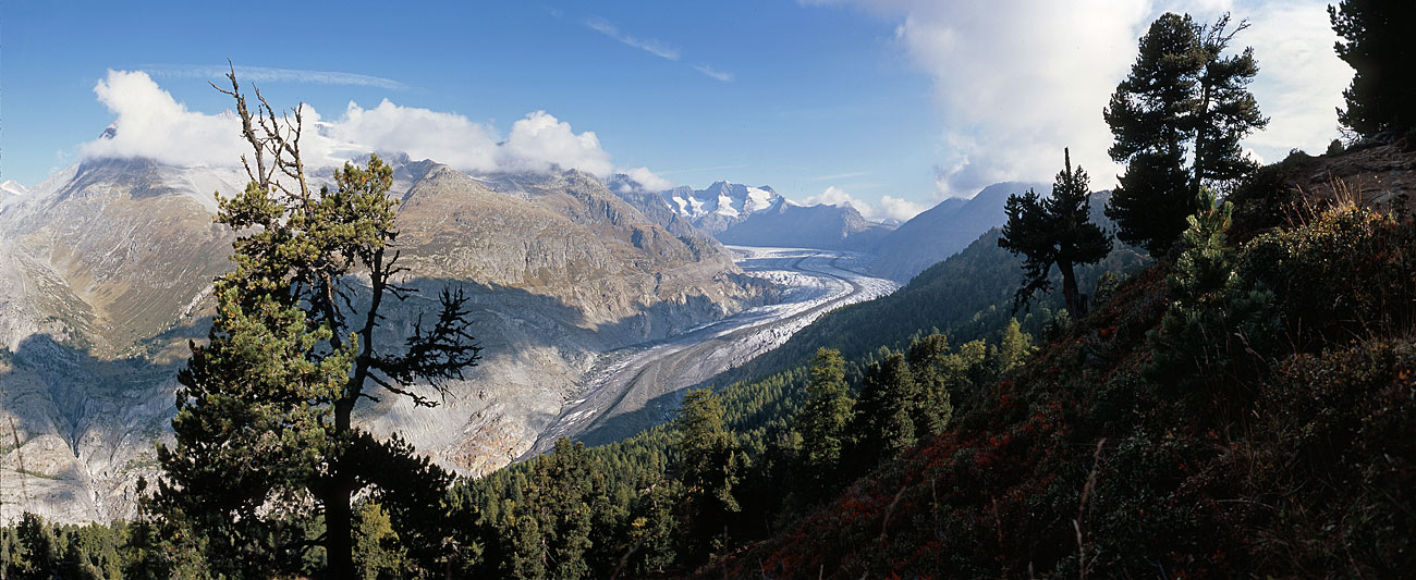 Panoramafotos