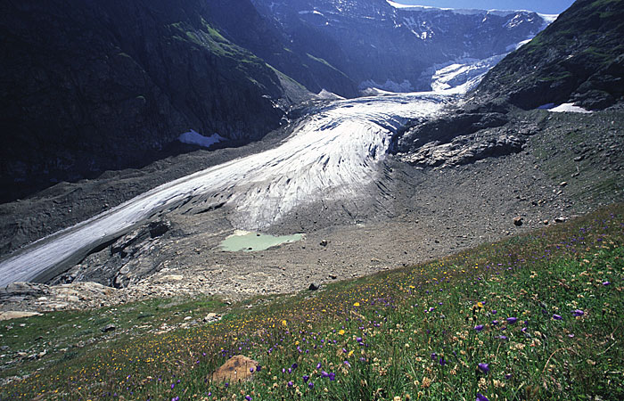 Steigletscher