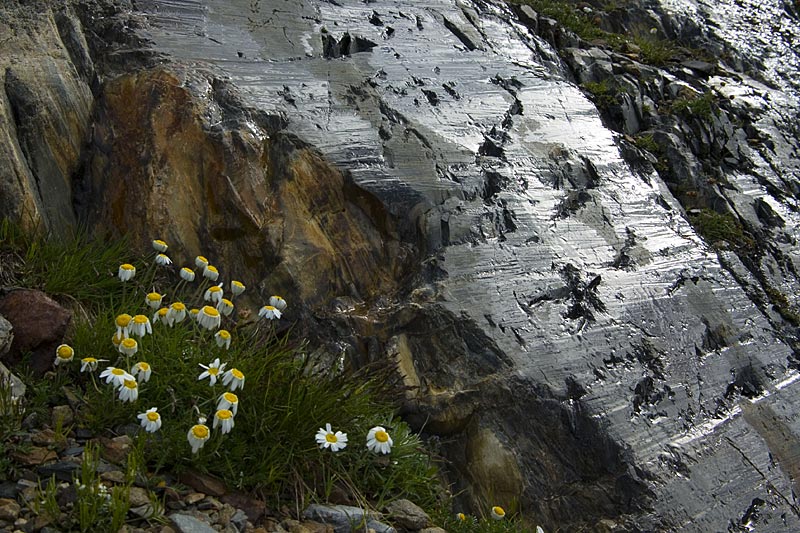 Glacially eroded bedrock near Triftgletscher, 15. August 2007