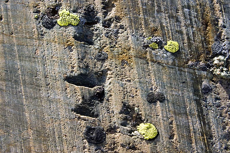 Glacially eroded bedrock near Triftgletscher, 15. August 2007