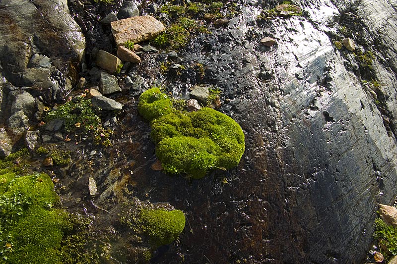 Glacially eroded bedrock near Triftgletscher, 15. August 2007