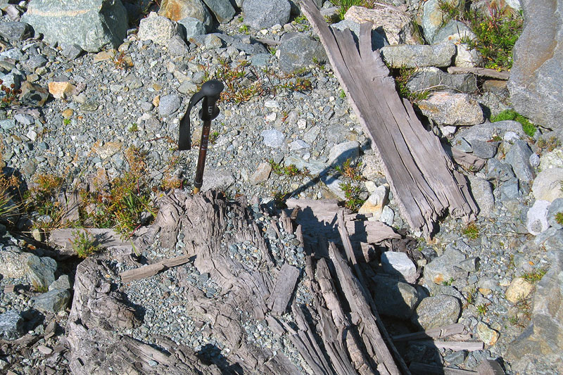 Proglacial area 2009