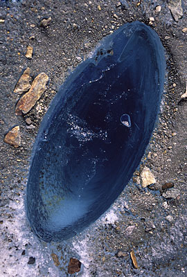 16a