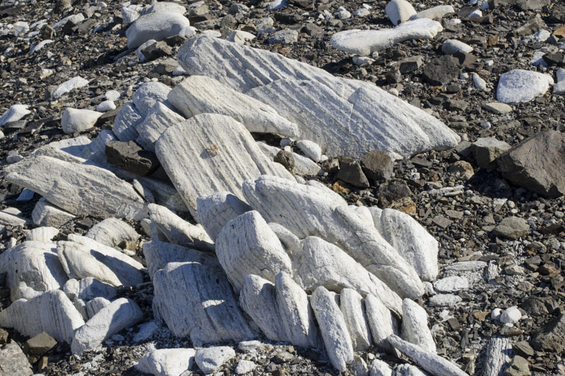 Erratic Valley and Glacier