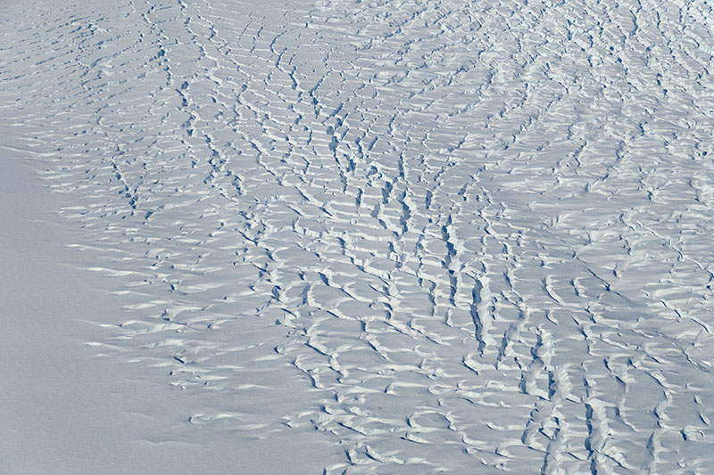 George VI Ice Shelf tributary glaciers