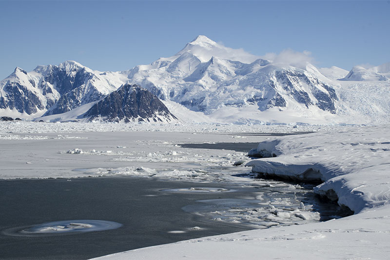 Sea ice Sea ice