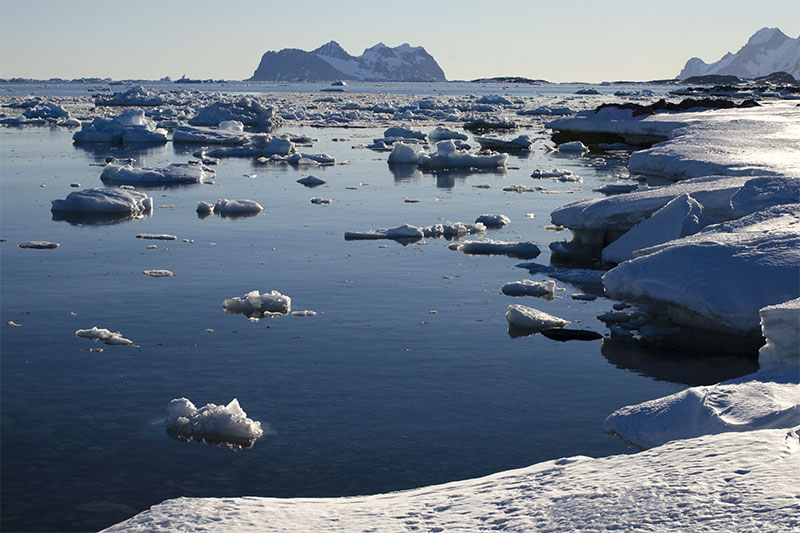 Sea ice Sea ice