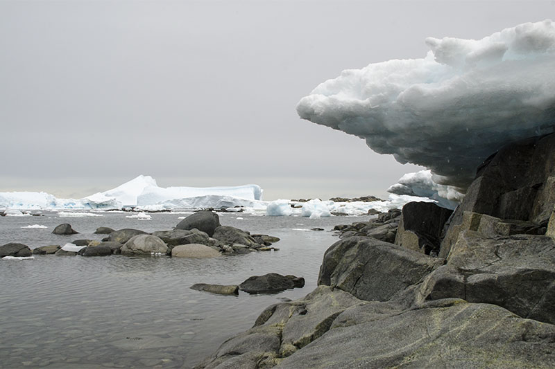 Sea ice Sea ice