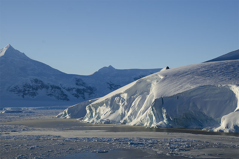 Sea ice Sea ice