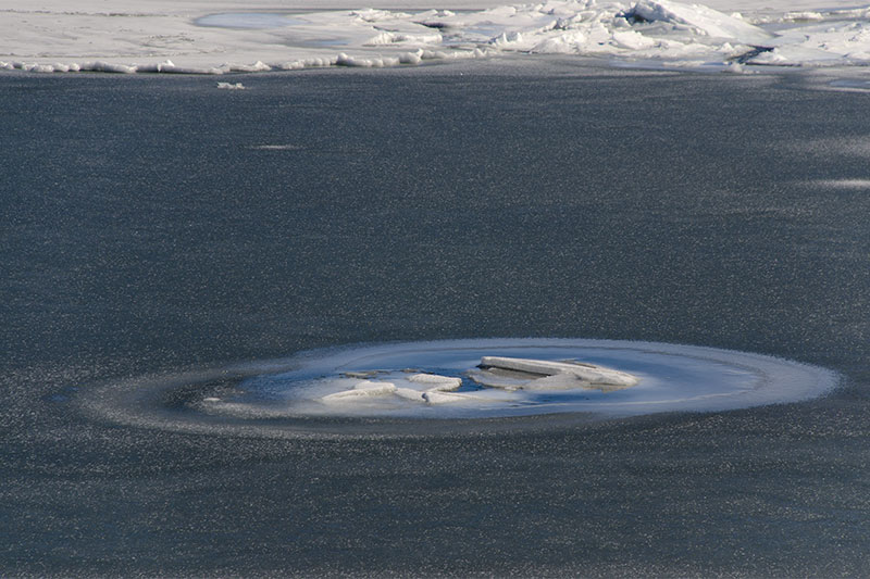 Sea ice Sea ice