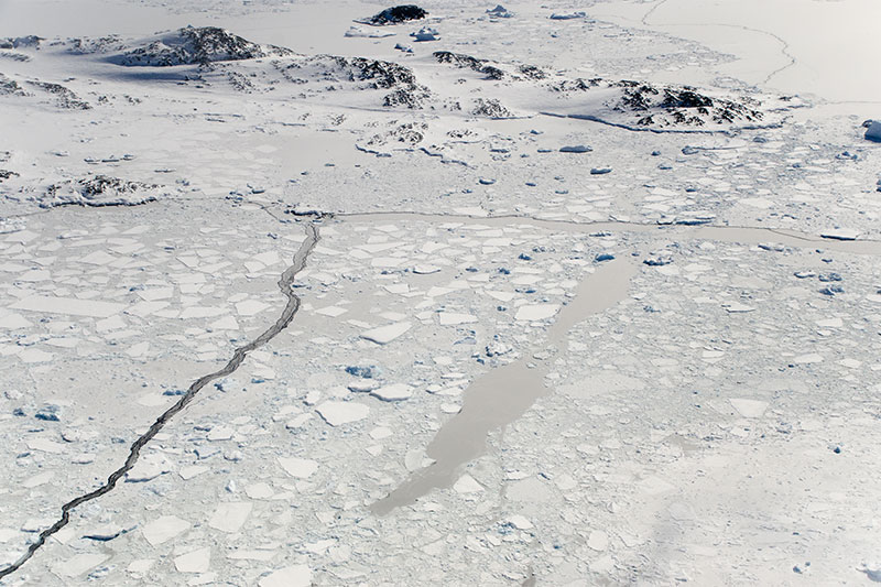 Sea ice Sea ice